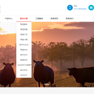 公司官方网站模板--pbootcms建站